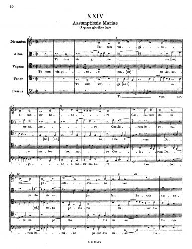 Stoltzer - Tu cum virgineo mater honore - Score