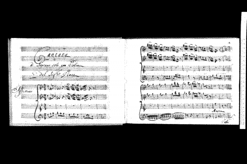 Vinci - Mesta, oh Dio, fra queste selve - Score