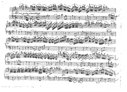 Cavaza - Flute Sonata in B minor - Score