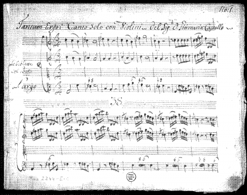 Capelli - Tantum ergo in G major - Score