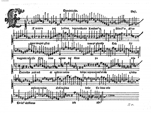 Orto - 5 Masses